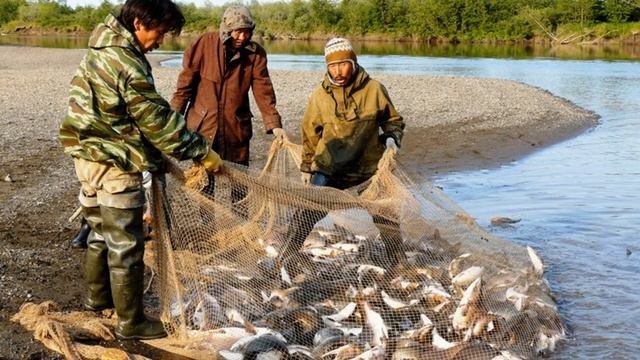 Окружающий мир 4 класс Перспектива. ТЕМА "В СОДРУЖЕСТВЕ С ПРИРОДОЙ" с.106-109