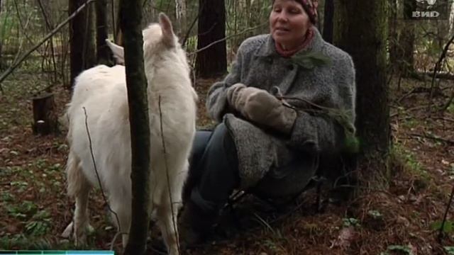 Жди Меня 14.02.2011