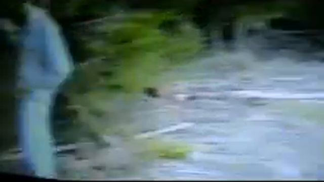 часть2 видео архив 1995 год