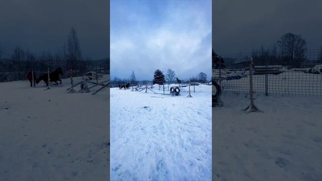 151216563_456239917.mp4