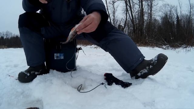 Ловля Окуня и Плотвы Зимой Видео (Эхолот Практик 7 RF) – Клип