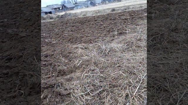 Минитрактор Русич 220, видео от нашего клиента