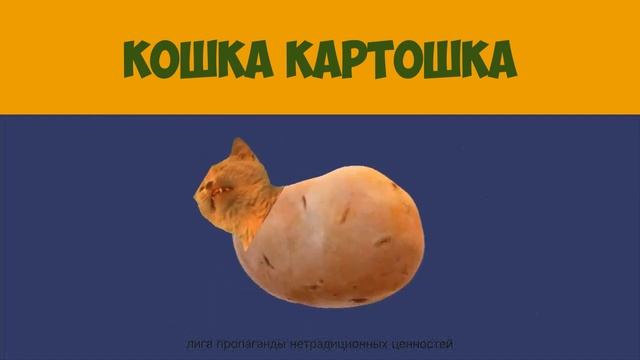 КОШКА - КАРТОШКА 1 ЧАС || CAT - POTATO 1 HOUR