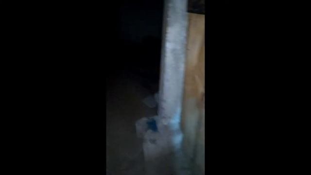 Вызывающие духов: ночью в подвале показываем как вызвать духа Смайл Дога, детское видео