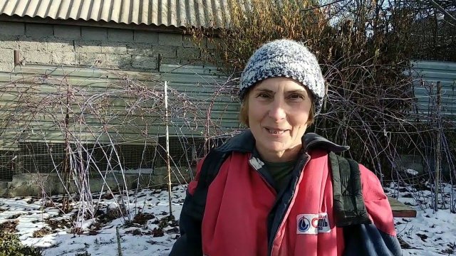 Розы. Искореняющие обработки Железным купоросом в декабре.