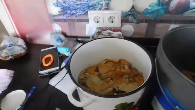 Солим волнушки правильным старинным рецептом.