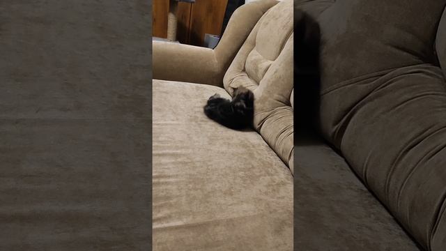 Игры Луны❣️