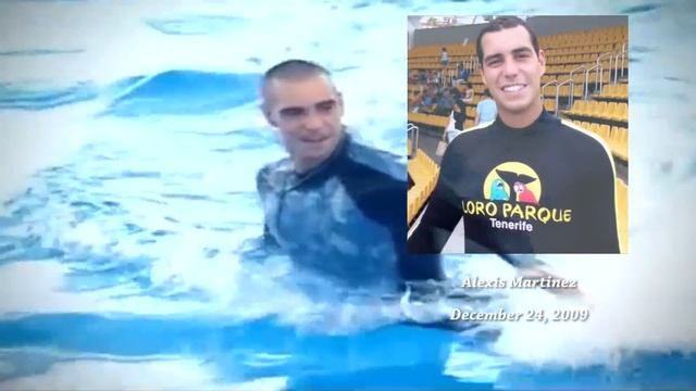 The Dark History of Killer Whale Captures