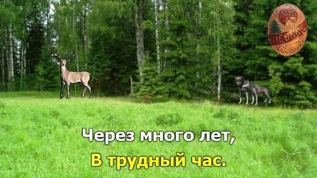 Песня лесника.mp4