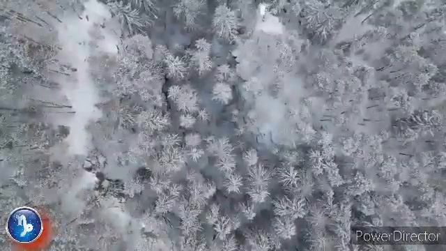 ЗНАКИ ЗОДИАКА КОТОРЫЕ НЕ УМЕЮТ ЛЮБИТЬ