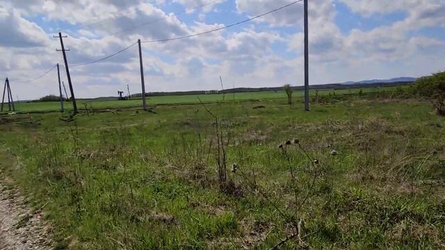 природа рядом с домом.mp4