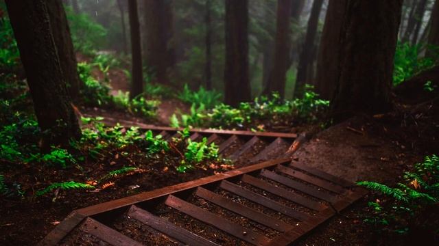 МУЗЫКА ДЛЯ РЕЛАКСАЦИИ, ЙОГИ И МЕДИТАЦИИ / ИГРА НА ДЗЕН ДРАМ ПОД ЗВУКИ ЛЕСА / 1 ЧАС / by MEGAMAZA.