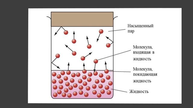 Физика 8 класс. §16 Испарение. Насыщенный и ненасыщенный пар