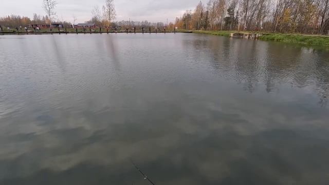 Встреча третья. Решающая или нет? Ловля прудовой форели. Ловля форели.