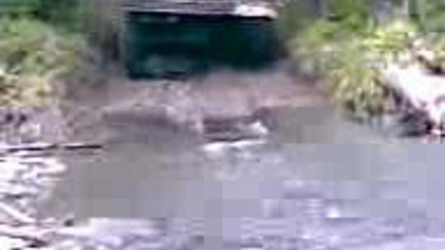 российская смекалка