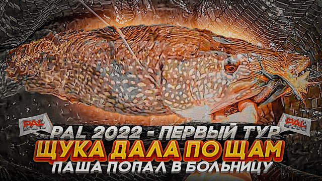 ЩУКА ДАЛА ПО ЩАМ. Пашу отвезли В ТРАВМПУНКТ. PAL 2022, 1 ТУР.mov