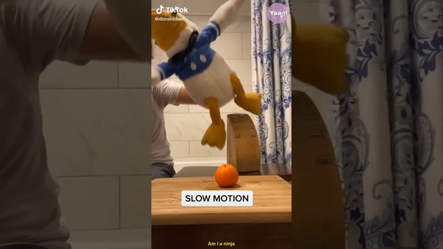 Best of DONALDDUCC TikTok Compilation - Funny Donald Duck TikToks of 2021