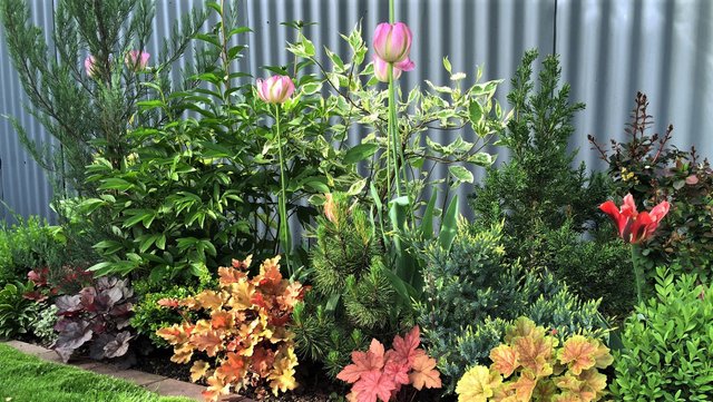 ?Ландшафтный дизайн на садовом участке Интересные идеи / Interesting garden ideas / A - Video