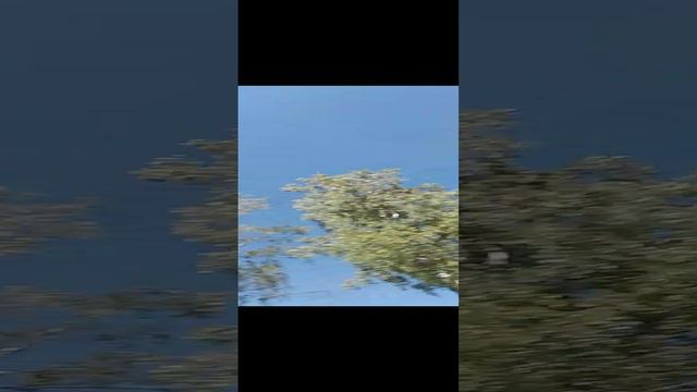 1000000490.mp4