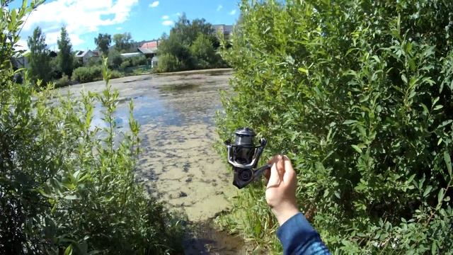 Самый бюджетный аналог Shimano и Daiwa за 2000 рублей?! Dayo Leger. Царь среди дешевых катушек.