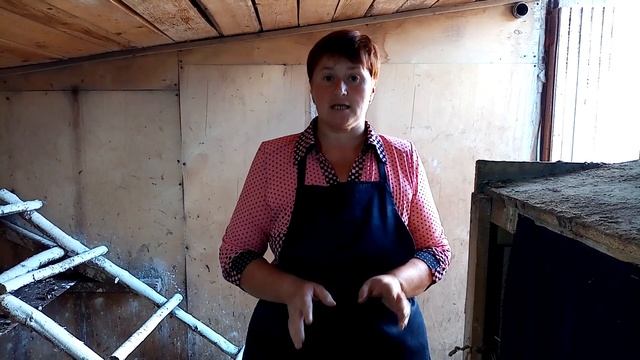 Какие гнезда у моих кур несушек. Как создать условия для хорошей яйценоскости кур.