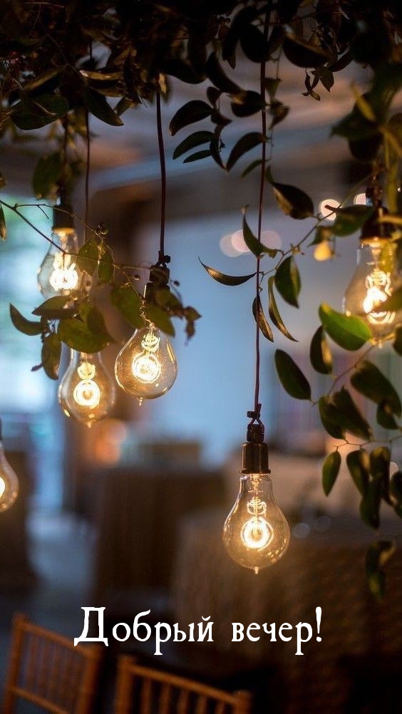 Приятного и Уютного Вечера!