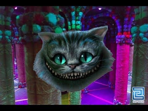 Кот в зеркальном лабиринте волшебника (Лучший зеркальный лабиринт России)