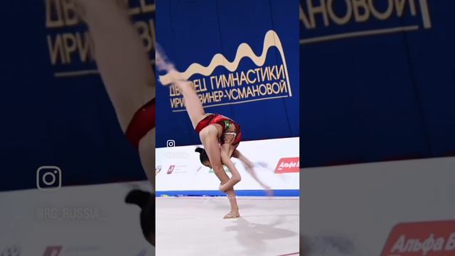 Художественная гимнастика