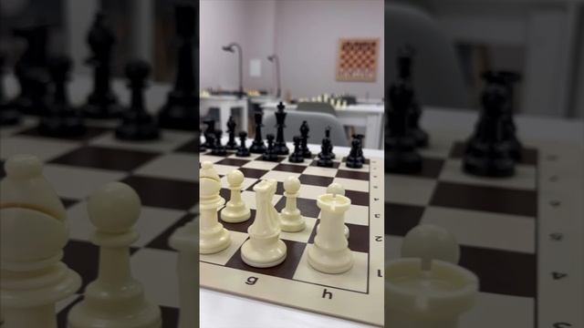 Шахматный клуб "Тактика"