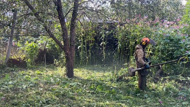 Кошу джунгли в центре Бронниц. Штиль (Stihl) - огонь!