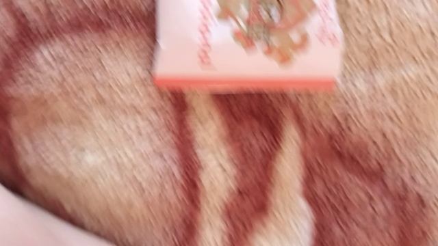 нычка