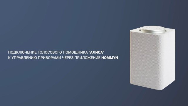 Подключение голосового помощника Алиса к управлению приборами через приложение Hommyn