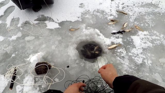 Рыбалка на перемёт! Как Зимой Поставить Перемёт на Налима ! Способ Постановки Перемёта !