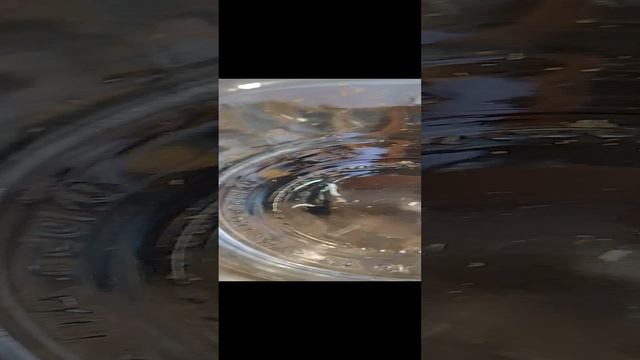 необычный взгляд