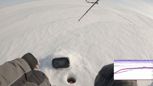 Ловля сига зимой. Налим на стук. Рыбалка в Карелии 2021