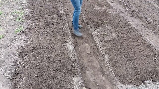 ДЕЛАЕМ ГРЯДКИ ИЗ КИРПИЧА / КАК СДЕЛАТЬ ГРЯДКИ ИЗ КИРПИЧА СВОИМИ РУКАМИ ?