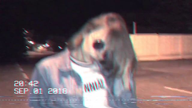 КЛИП на песню ПОШЛАЯ МОЛЛИ