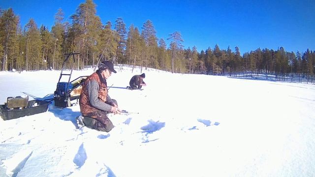 Рыбалка и охота на севере. В поисках хариуса. Часть 2
