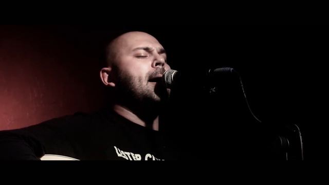 Бранимир - Щенки