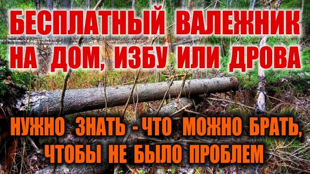 ЗАГОТОВКА ВАЛЕЖНИКА И ЗАГОТОВКА ДРОВ. Бесплатные дрова БЕЗ ШТРАФА. Валежник, сухостой, бурелом.