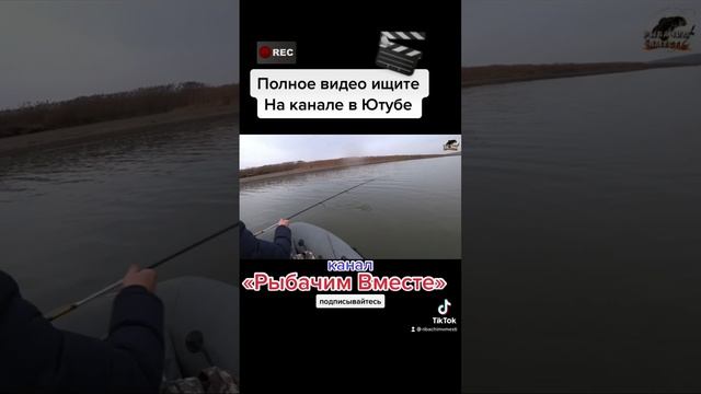 Рыбачим Вместе, Ловим Окуней