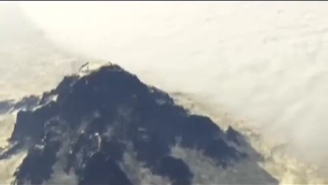 Подводные жители. Интересные существа.