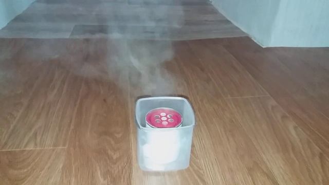 Дымовая шашка( РАПТОР ) от тараканов и других...