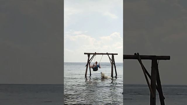 качели в воде