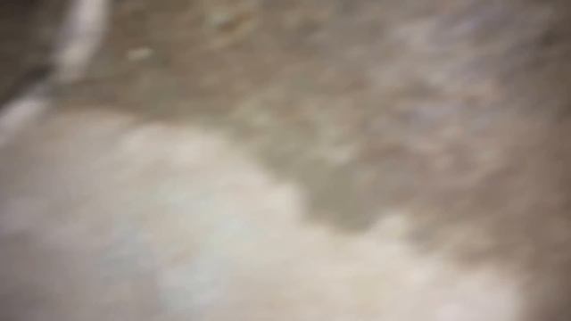 Снятие КПП Нива Шевроле и замена сцепления. Ремонт Нива Шевроле своими руками