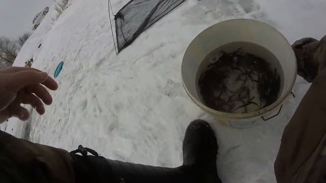 Как поймать малька(живца) зимой