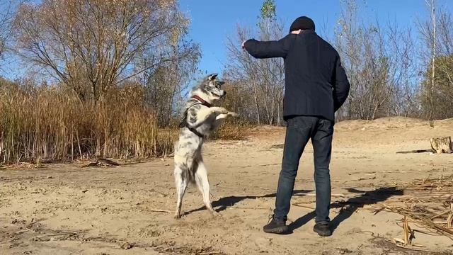 СЛУЧАЙ