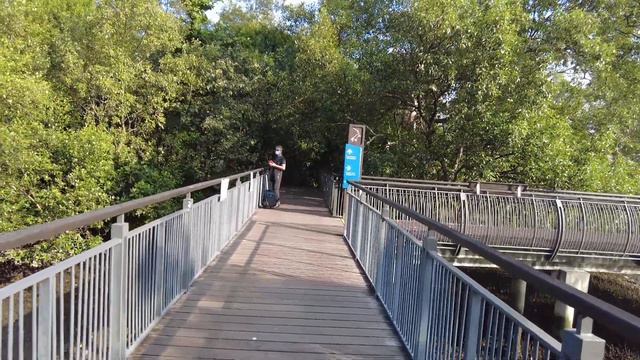Nature Trip to Kranji Nature Trail and Sungei Buloh Wetland Reserve and How to get there