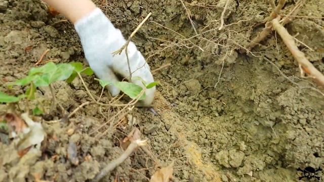 Коп в горах, нашли сабли, раскопки по средневековью