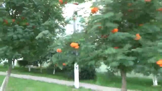 город строитель белгородская область город строитель